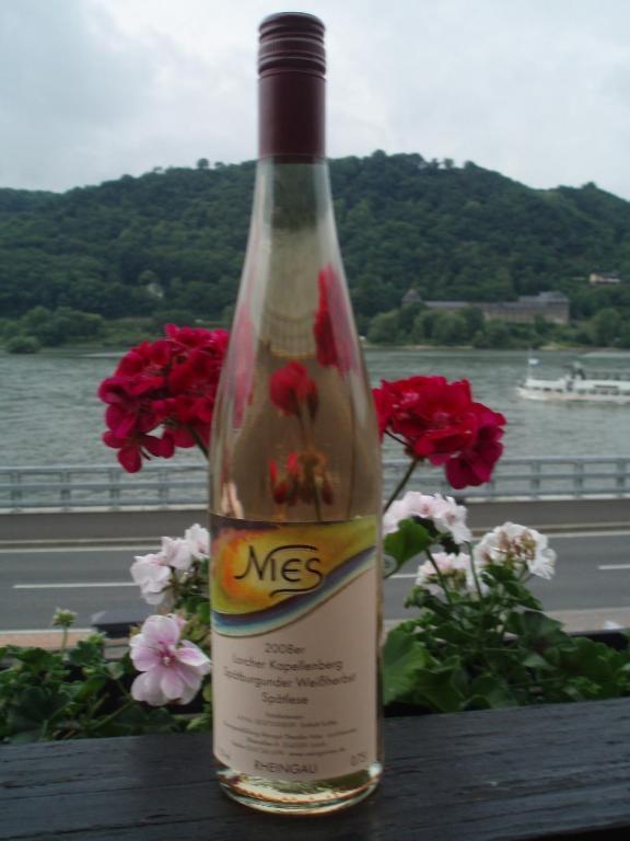 Апартаменты Weingut Theodor Nies Лорх Экстерьер фото