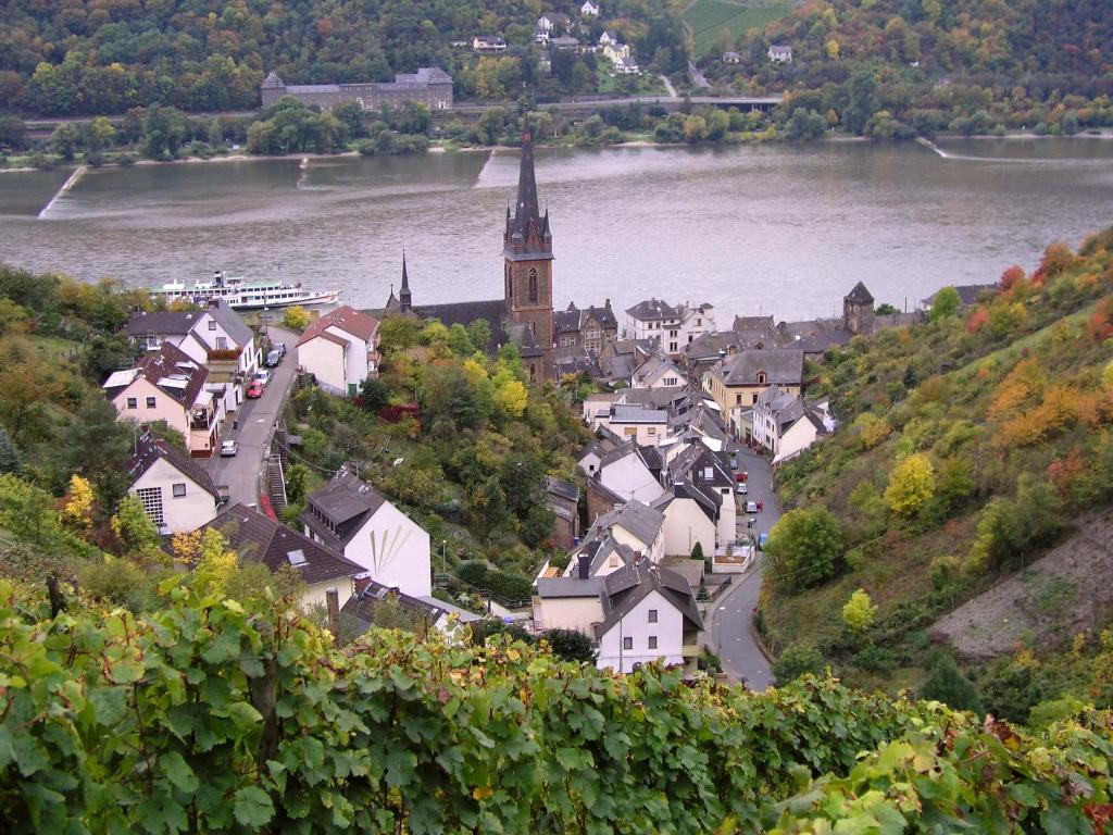 Апартаменты Weingut Theodor Nies Лорх Экстерьер фото